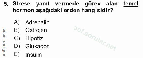5. soru: Strese yanıt vermede görev alan temel hormon aşağıdakilerden hangisidir? A) Adrenalin B) Ostrojen C) Hipofiz D) Gluka…
