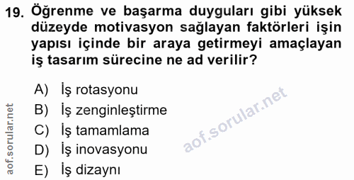 19. soru: Öğrenme ve başarma duyguları gibi yüksek düzeyde motivasyon sağlayan faktörleri işin yapısı içinde bir araya getirmey…
