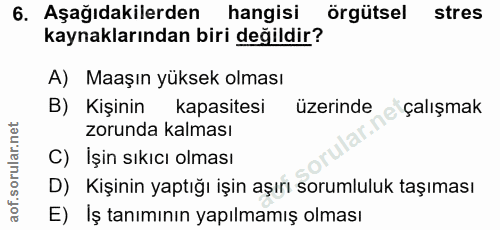 6. soru: Aşağıdakilerden hangisi örgütsel stres kaynaklarından biri değildir? A) Maaşın yüksek olması B) Kişinin kapasitesi üz…