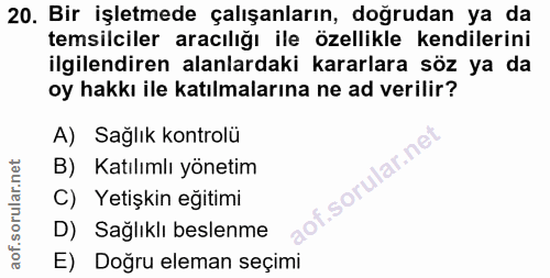 20. soru: Bir işletmede çalışanların, doğrudan ya da temsilciler aracılığı ile özellikle kendilerini ilgilendiren alanlardaki k…