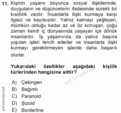 11. soru: Kişinin yaşamı boyunca sosyal ilişkilerinde, duyguların ve düşüncelerin ifadesinde sürekli bir kısıtlılık vardır. Ins…