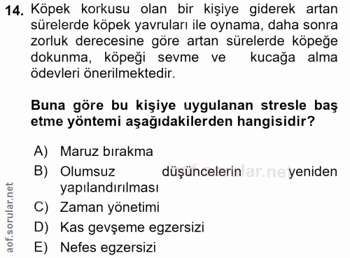 14. soru: Köpek korkusu olan bir kişiye giderek artan sürelerde köpek yavruları ile oynama, daha sonra zorluk derecesine göre a…