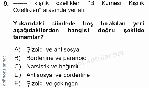 9. soru: --- kişilik özellikleri "B Kümesi Kişilik Ozellikleri" arasında yer alır. Yukarıdaki cümlede boş bırakılan yeri aşağı…