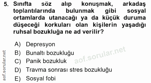 5. soru: Sınıfta SÖZ alip konuşmak, arkadaş toplantılarında bulunmak gibi sosyal ortamlarda utanacağı ya da küçük duruma düşec…