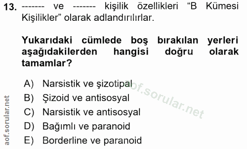 13. soru: -- Ve -- kişilik özellikleri "B Kümesi Kişilikler" olarak adlandırılırlar. Yukarıdaki cümlede boş bırakılan yerleri a…
