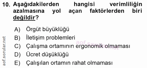 10. soru: Aşağıdakilerden hangisi verimliliğin azalmasına yol açan faktörlerden biri değildir? A) Örgüt büyüklüğü B) İletişim p…