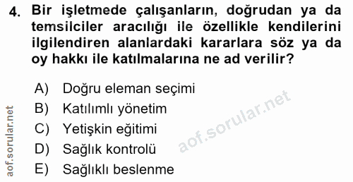 4. soru: Bir işletmede çalışanların, doğrudan ya da temsilciler aracılığı ile özellikle kendilerini ilgilendiren alanlardaki k…
