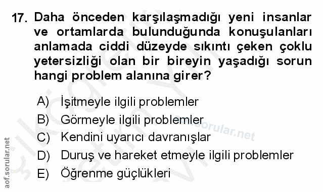 17. soru: Daha önceden karşılaşmadığı yeni insanlar ve ortamlarda bulundugunda konuşulanları anlamada ciddi düzeyde sıkıntı çek…
