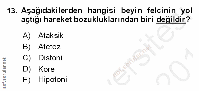 13. soru: Aşağıdakilerden hangisi beyin felcinin yol açtığı hareket bozukluklarından biri değildir? A) Ataksık B) Atetoz C) Dis…