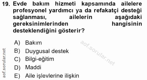 19. soru: Evde bakım hizmeti kapsamında ailelere profesyonel yardımcı ya da refakatçi desteği sağlanması, ailelerin aşağıdaki g…