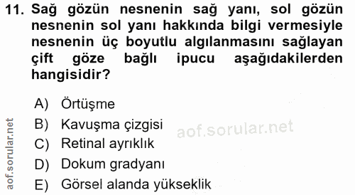 11. soru: Sağ gözün nesnenin sağ yanı, sol gözün nesnenin sol yanı hakkında bilgi vermesiyle nesnenin üç boyutlu algılanmasını…
