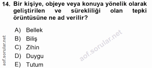 14. soru: Bir kişiye, objeye veya konuya yönelik olarak geliştirilen ve sürekliliği olan tepki örüntüsüne ne ad verilir? A) Bel…