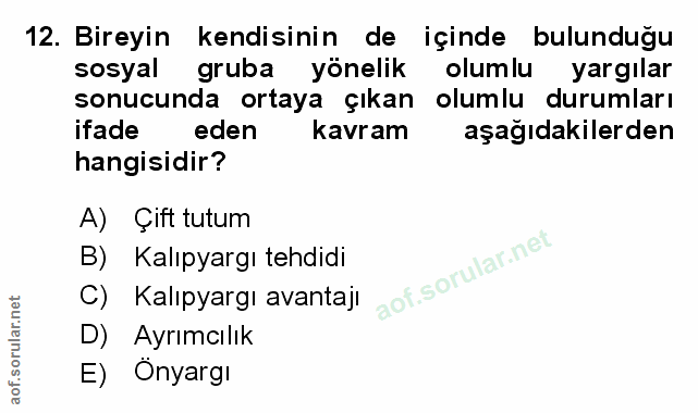 12. soru: Bireyin kendisinin de içinde bulunduğu sosyal gruba yönelik olumlu yargılar sonucunda ortaya çıkan olumlu durumları i…