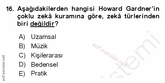 16. soru: Aşağıdakilerden hangisi Howard Gardner'in çoklu zekâ kuramına göre, zekâ türlerinden biri değildir? A) Uzamsal B) Müz…