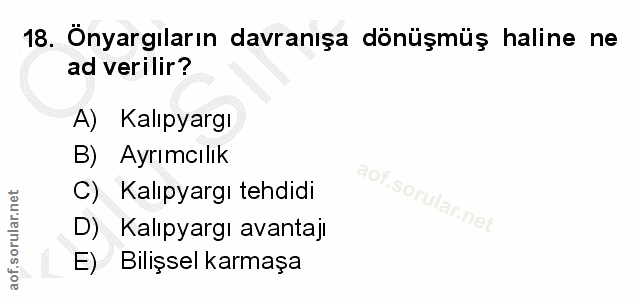 18. soru: Onyargıların davranışa dönüşmüş haline ne ad verilir? A) Kalıpyargı B) Ayrımcılık Kalıpyargı tehdidi D) Kalıpyargı av…
