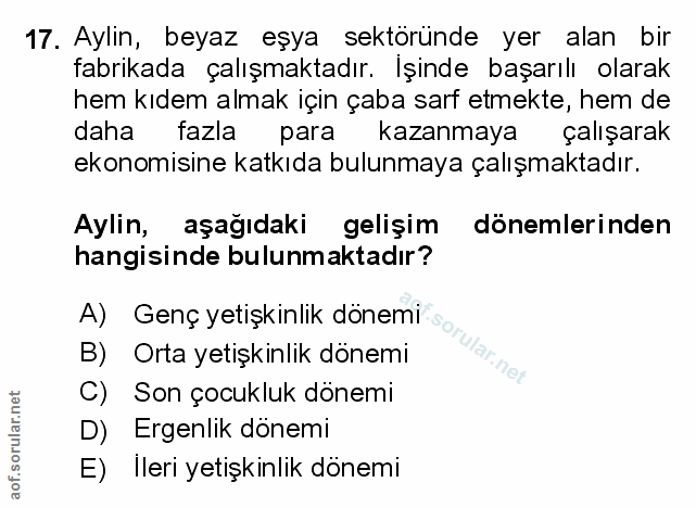 17. soru: Aylin, beyaz eşya sektöründe yer alan bir fabrikada çalışmaktadır. İşinde başarılı olarak hem kıdem almak için çaba s…