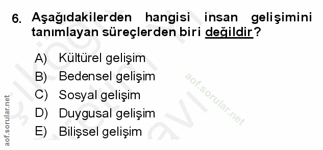 6. soru: Aşağıdakilerden hangisi insan gelişimini tanımlayan süreçlerden biri değildir? A) Kültürel gelişim B) Bedensel gelişi…