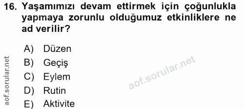 16. soru: Yaşamımızı devam ettirmek için çoğunlukla yapmaya zorunlu olduğumuz etkinliklere ne ad verilir? A) Düzen B) Geçiş C)…