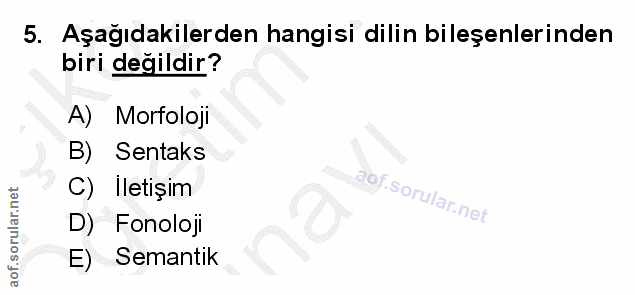 5. soru: Aşağıdakilerden hangisi dilin bileşenlerinden biri değildir? A) Morfoloji B) Sentaks C) İletişim D) Fonoloji E) Semantik