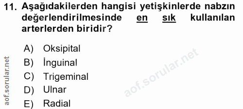 11. soru: Aşağıdakilerden hangisi yetişkinlerde nabzın değerlendirilmesinde en Sık kullanılan arterlerden biridir? A) Oksipital…