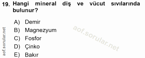 19. soru: Hangi mineral diş ve vücut sıvilarında bulunur? A) Demir B) Magnezyum C) Fosfor D) Çinko E) Bakır