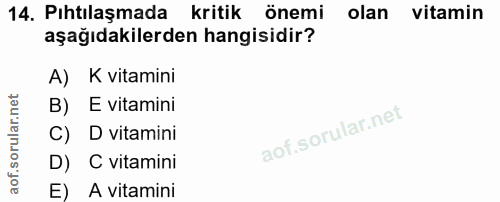 14. soru: Pıhtılaşmada kritik önemi olan vitamin aşağıdakilerden hangisidir? A) K vitamini B) E vitamini C) D vitamini D) C vit…
