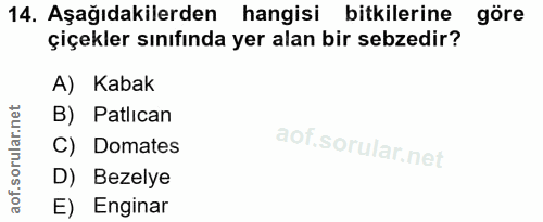 14. soru: Aşağıdakilerden hangisi bitkilerine göre çiçekler sınıfında yer alan bir sebzedir? A) Kabak B) Patlıcan C) Domates D)…