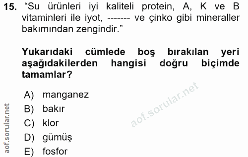 15. soru: "Su ürünleri iyi kaliteli protein, A, K ve B vitaminleri ile iyot, -- ve çinko gibi mineraller bakımından zengindir."…
