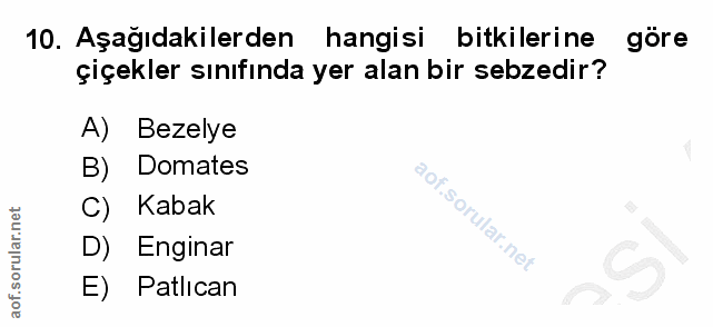 10. soru: Aşağıdakilerden hangisi bitkilerine göre çiçekler sınıfında yer alan bir sebzedir? A) Bezelye B) Domates Kabak D) Eng…
