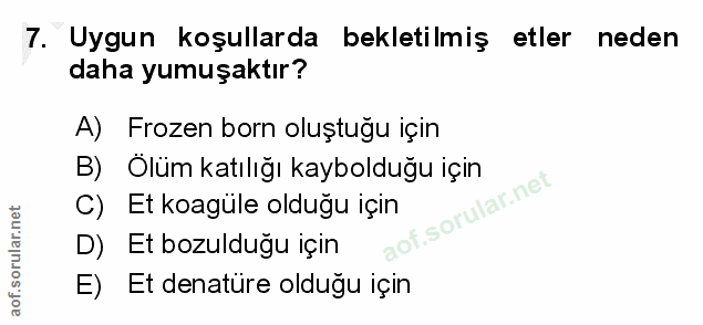7. soru: Uygun koşullarda bekletilmiş etler neden daha yumuşaktır? A) Frozen born oluştuğu için B)Olüm katılığı kaybolduğu içi…