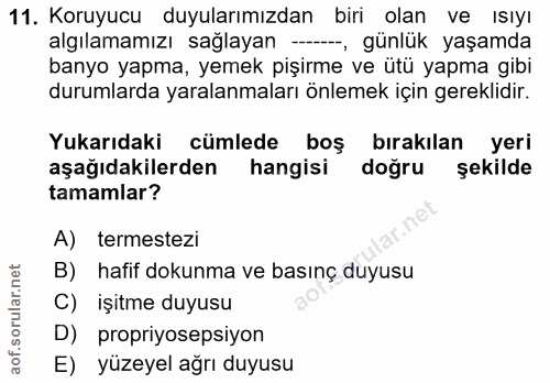 11. soru: Koruyucu duyularımızdan biri olan ve ısıyı algılamamızı sağlayan —, günlük yaşamda banyo yapma, yemek pişirme ve ütü…