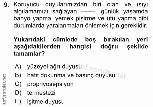 9. soru: Koruyucu duyularımızdan biri olan ve ısıyı algılamamızı sağlayan —, günlük yaşamda banyo yapma, yemek pişirme ve ütü…