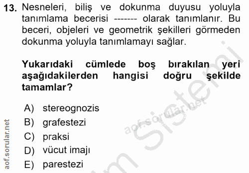 13. soru: Nesneleri, biliş ve dokunma duyusu yoluyla tanımlama becerisi ---- olarak tanımlanır. Bu beceri, objeleri ve geometri…