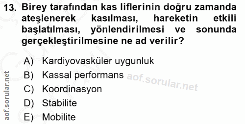 13. soru: Birey tarafından kas liflerinin doğru zamanda ateşlenerek kasılması, hareketin etkili başlatılması, yönlendirilmesi v…