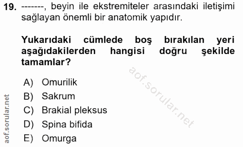 19. soru: - beyin ile ekstremiteler arasındaki iletişimi sağlayan önemli bir anatomik yapıdır. Yukarıdaki cümlede boş bırakılan…