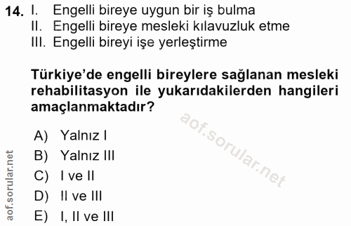 14. soru: I. Engelli bireye uygun bir iş bulma II. Engelli bireye mesleki kılavuzluk etme III. Engelli bireyi işe yerleştirme T…
