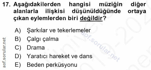 17. soru: Aşağıdakilerden hangisi müziğin diğer alanlarla ilişkisi düşünüldüğünde ortaya çıkan eylemlerden biri değildir? A) Şa…