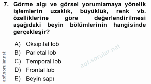 7. soru: Görme algı ve görsel yorumlamaya yönelik işlemlerin uzaklık, büyüklük, renk vb. özelliklerine göre değerlendirilmesi…
