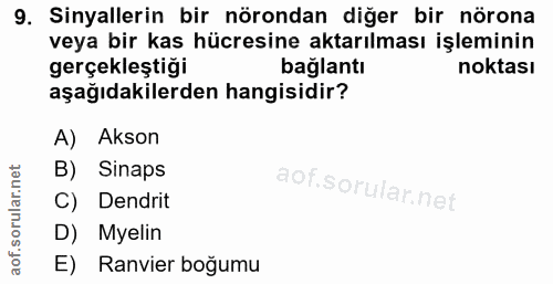 9. soru: Sinyallerin bir nörondan diğer bir nörona veya bir kas hücresine aktarılması işleminin gerçekleştiği bağlantı noktası…