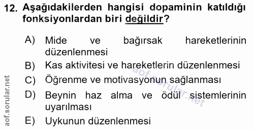12. soru: Aşağıdakilerden hangisi dopaminin katıldığı fonksiyonlardan biri değildir? A) Mide ve bağırsak hareketlerinin düzenle…