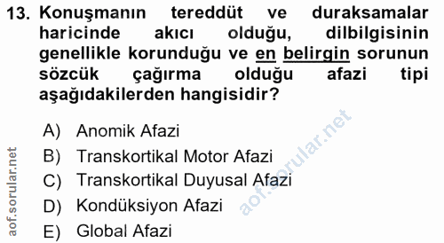 13. soru: Konuşmanın tereddüt ve duraksamalar haricinde akcı olduğu, dilbilgisinin genellikle korunduğu ve en belirgin sorunun…