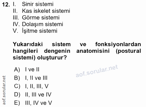 12. soru: I. Sinir sistemi II. Kas iskelet sistemi III. Görme sistemi IV. Dolaşım sistemi V. İşitme sistemi Yukarıdaki sistem v…