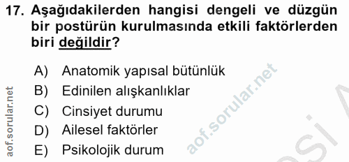 17. soru: Aşağıdakilerden hangisi dengeli ve düzgün bir postürün kurulmasında etkili faktörlerden biri değildir? A) Anatomik ya…