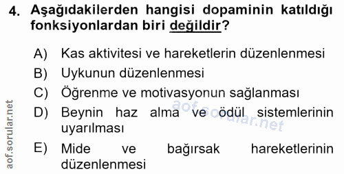 4. soru: Aşağıdakilerden hangisi dopaminin katıldığı fonksiyonlardan biri değildir? A) Kas aktivitesi ve hareketlerin düzenlen…