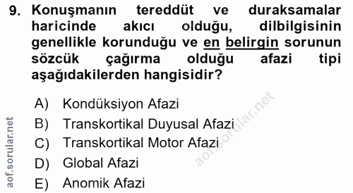 9. soru: Konuşmanın tereddüt ve duraksamalar haricinde akıcı olduğu, dilbilgisinin genellikle korunduğu ve en belirgin sorunun…