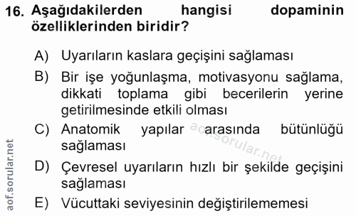 16. soru: Aşağıdakilerden hangisi dopaminin özelliklerinden biridir? A) Uyarıların kaslara geçişini sağlaması B) Bir işe yoğunl…