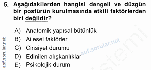 5. soru: Aşağıdakilerden hangisi dengeli ve düzgün bir postürün kurulmasında etkili faktörlerden biri değildir? A) Anatomik ya…