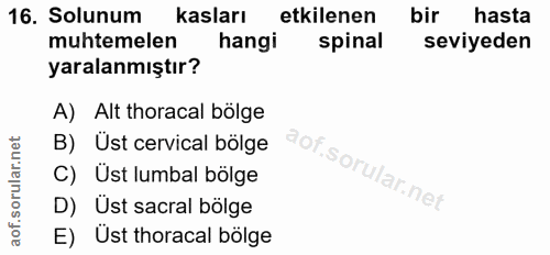 16. soru: Solunum kasları etkilenen bir hasta muhtemelen hangi spinal seviyeden yaralanmıştır? A) Alt horacal bölge B) Ust cerv…