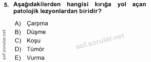 5. soru: Aşağıdakilerden hangisi kırığa yol açan patolojik lezyonlardan biridir? A) Çarpma B) Düşme C) Koşu D) Tümör aof. E) V…