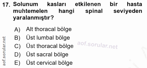 17. soru: Solunum kasları etkilenen bir hasta muhtemelen hangi spinal seviyeden yaralanmıştır? A) Alt horacal bölge B) Üst lumb…